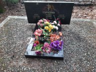 Старостин Алексей Алексеевич